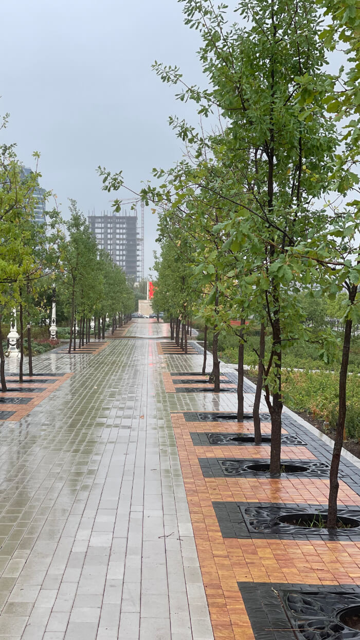 Приствольная решетка для дерева ZKING CRUST 1.2х1.2м Черная в Барабинске фото