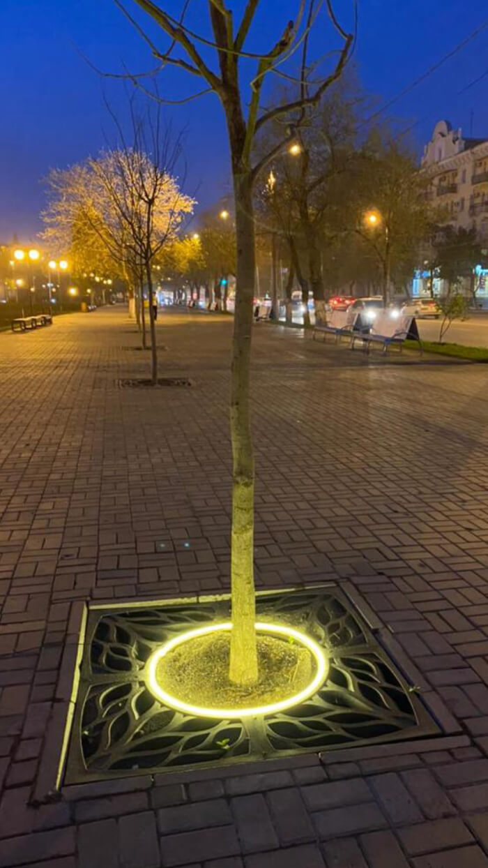 Приствольная решетка для дерева ZKING CRUST 1.2х1.2м Черная в Барабинске фото